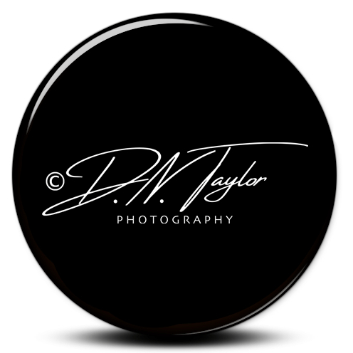 David N Taylor photographs, amateur photographer based in Darlington, County Durham UK